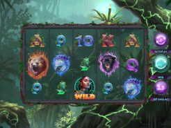 Mystic Wilds Slots